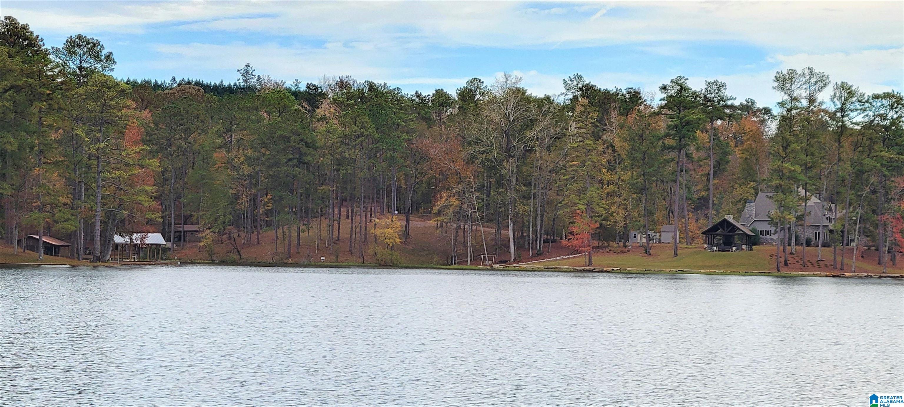 1830 Mimosa Point Road, Unit 1 Rockford, AL 35136 - Photo 17 of 24