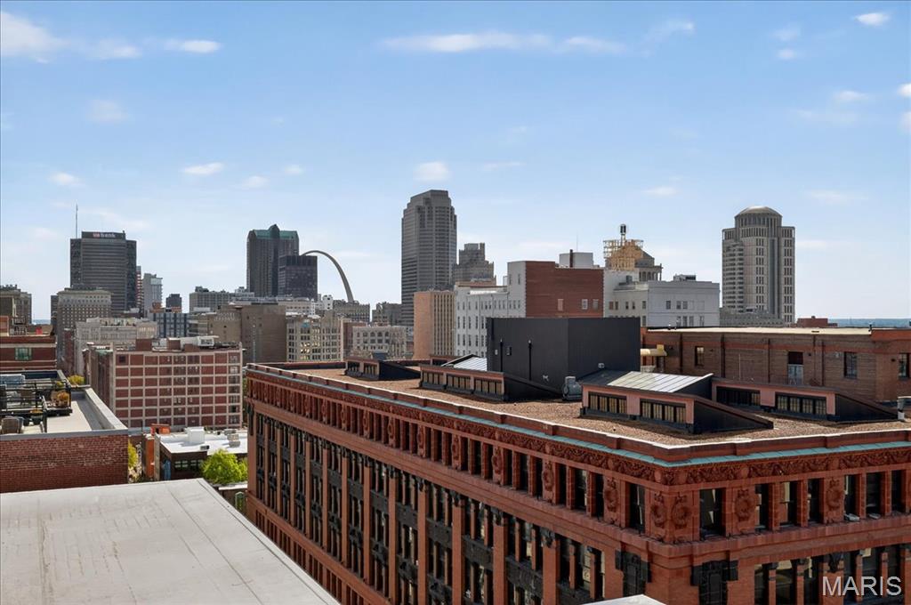 1635 Washington Avenue, Unit 901 St. Louis, MO 63103 - Photo 31 of 41