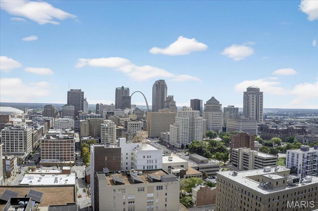 1635 Washington Avenue, Unit 901 St. Louis, MO 63103 - Photo 32 of 41