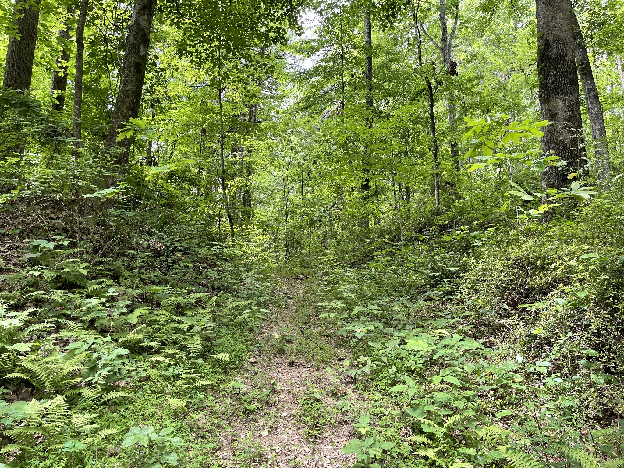 328 James Turner Road Tracy City, TN 37387 - Photo 10 of 16