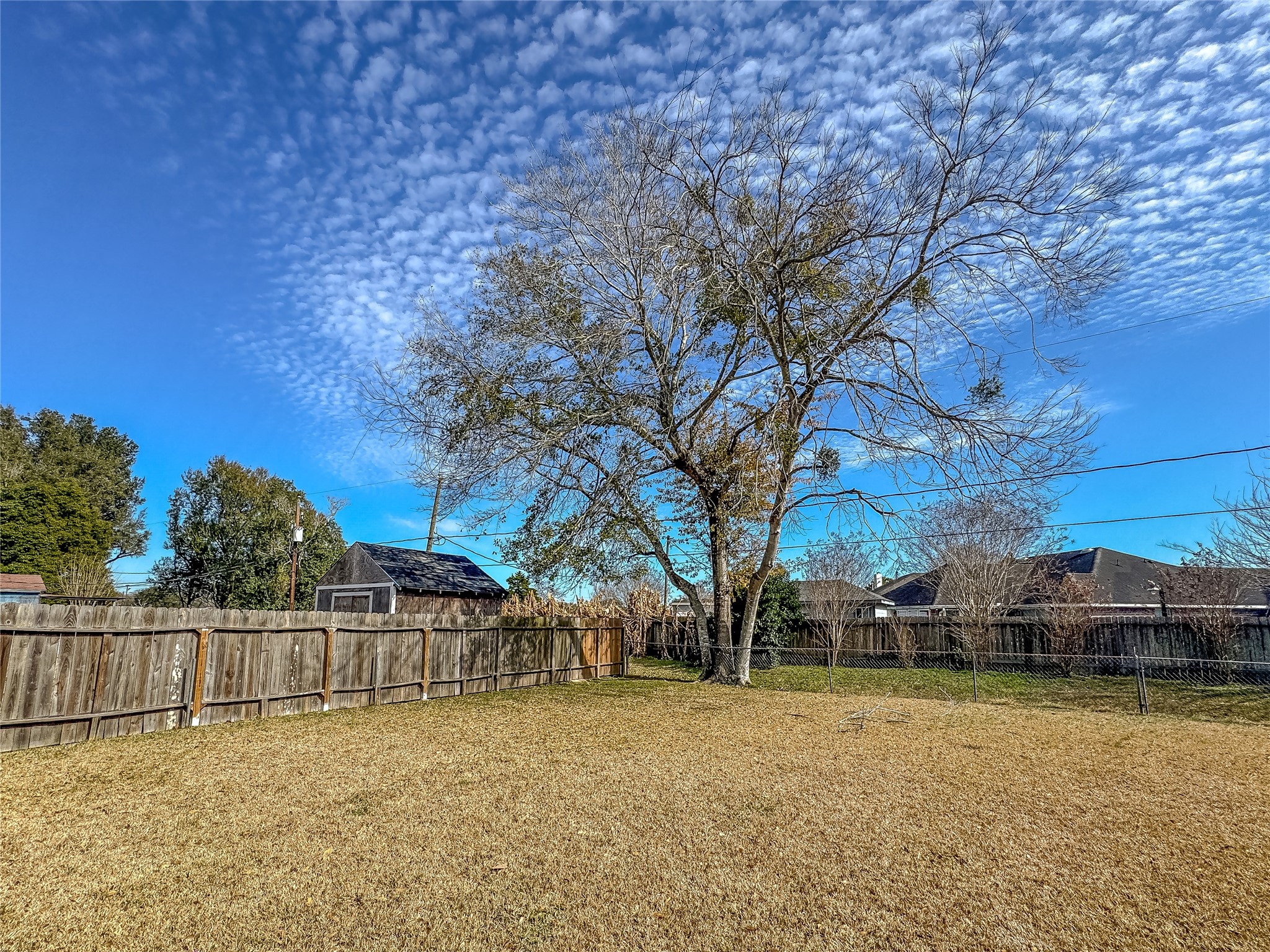 1727 Junker Street Rosenberg, TX 77471 - Photo 49 of 50