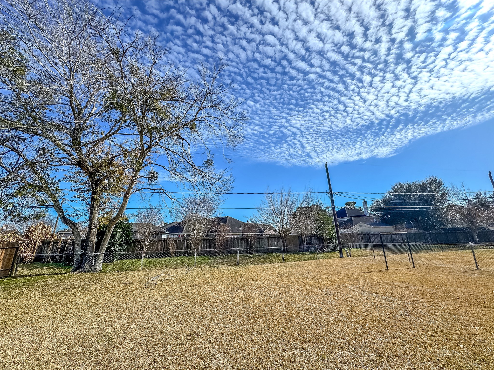 1727 Junker Street Rosenberg, TX 77471 - Photo 50 of 50