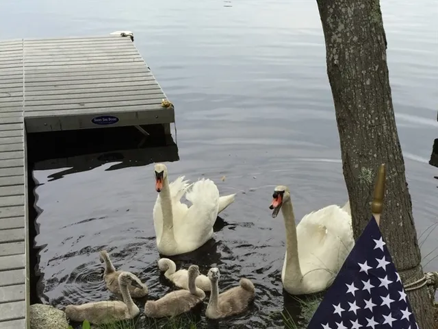 $738,888 | 14 Island Road, Groton, MA 01450