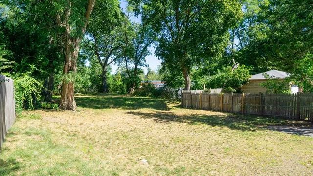 a view of backyard with tree