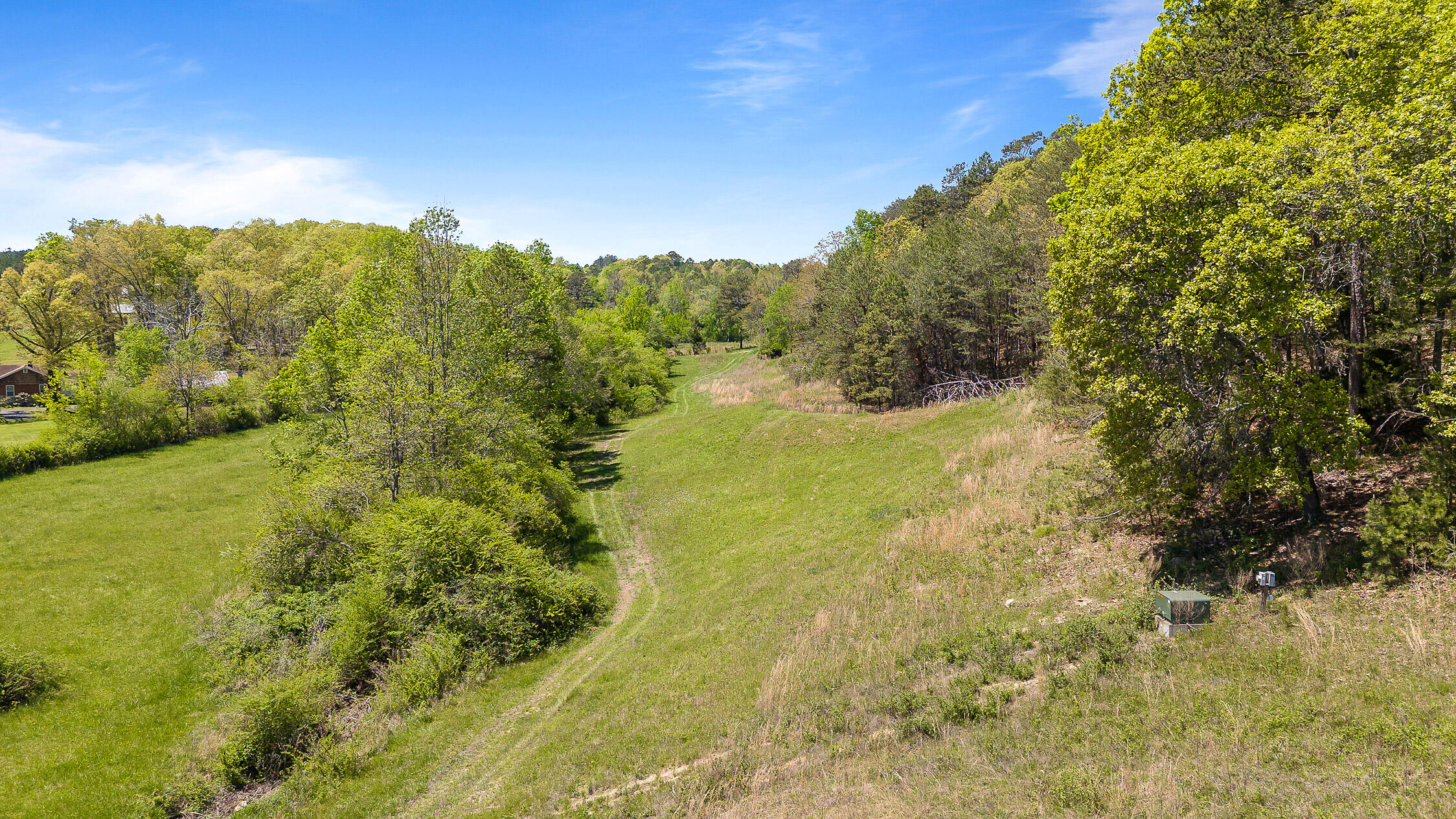 2085 Burton Road Sale Creek, TN 37373 - Photo 46 of 71 Burton-53