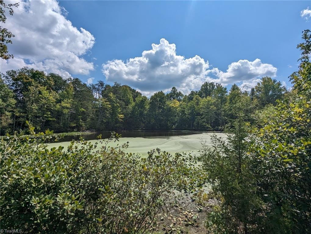 111 Longbow Road Reidsville, NC 27320 - Photo 9 of 9 Gallery Image 9