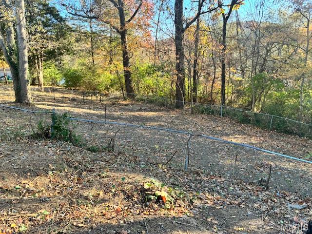 2864 Patti Lane High Ridge, MO 63049 - Photo 5 of 19