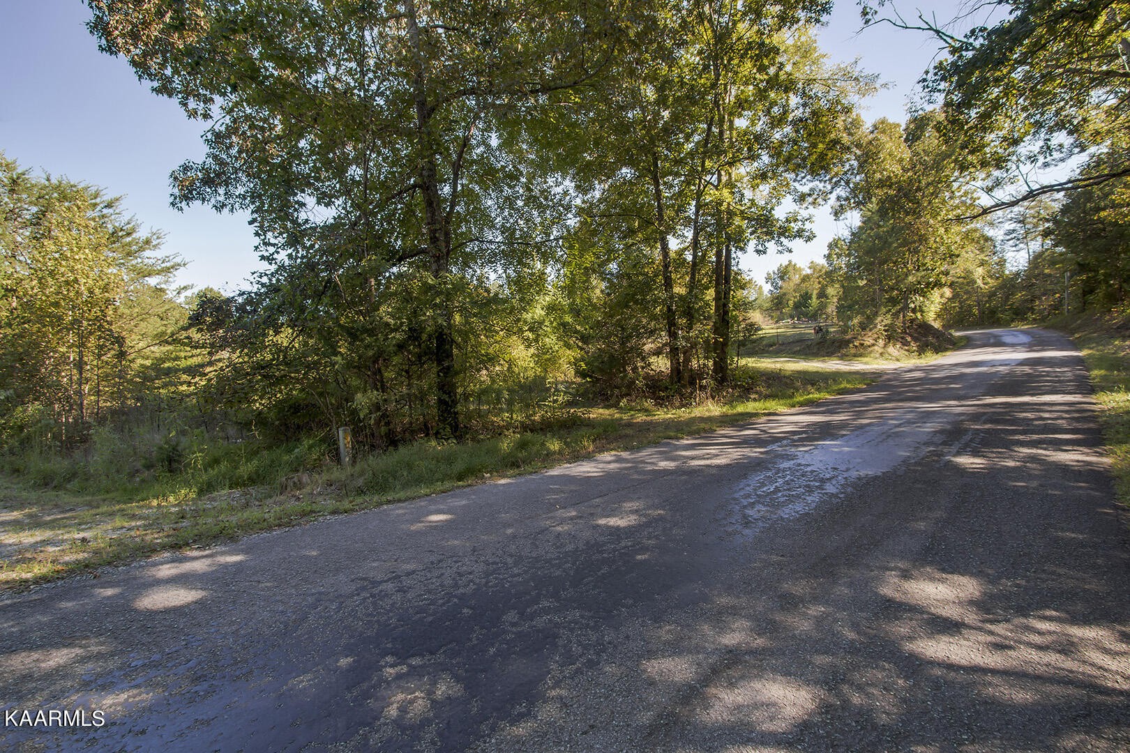 0 Shaddon Road Tellico Plains, TN 37385 - Photo 16 of 17
