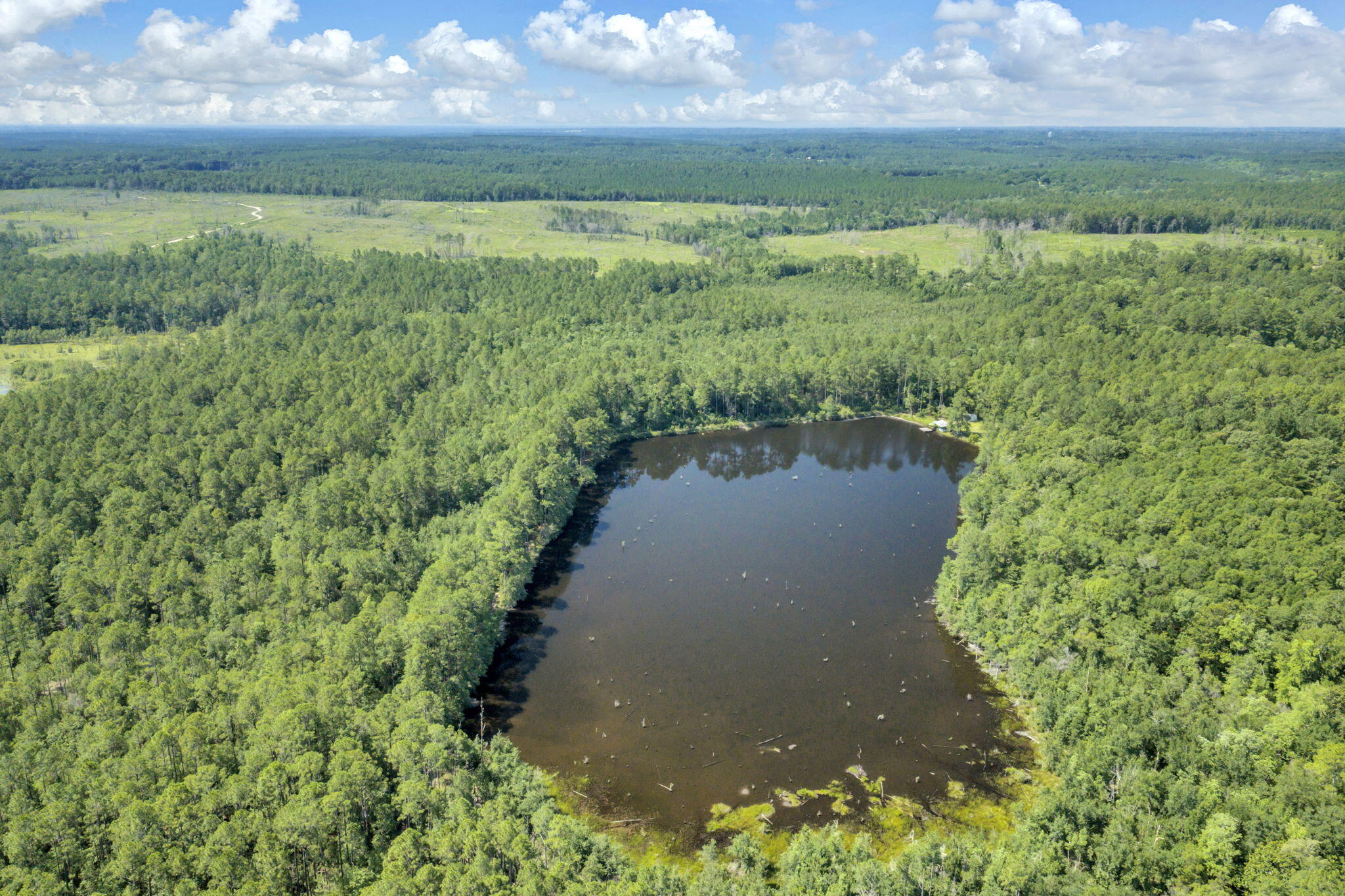 82 Acres 4 Flags Road Laurel Hill, FL 32567 - Photo 13 of 45 14-web-or-mls-DJI_20260702102320_0526_D