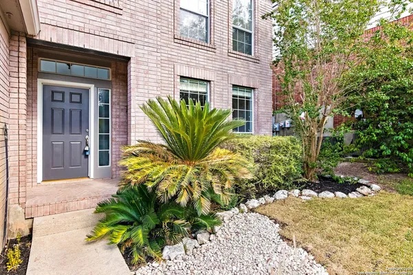a plant is in front of a house