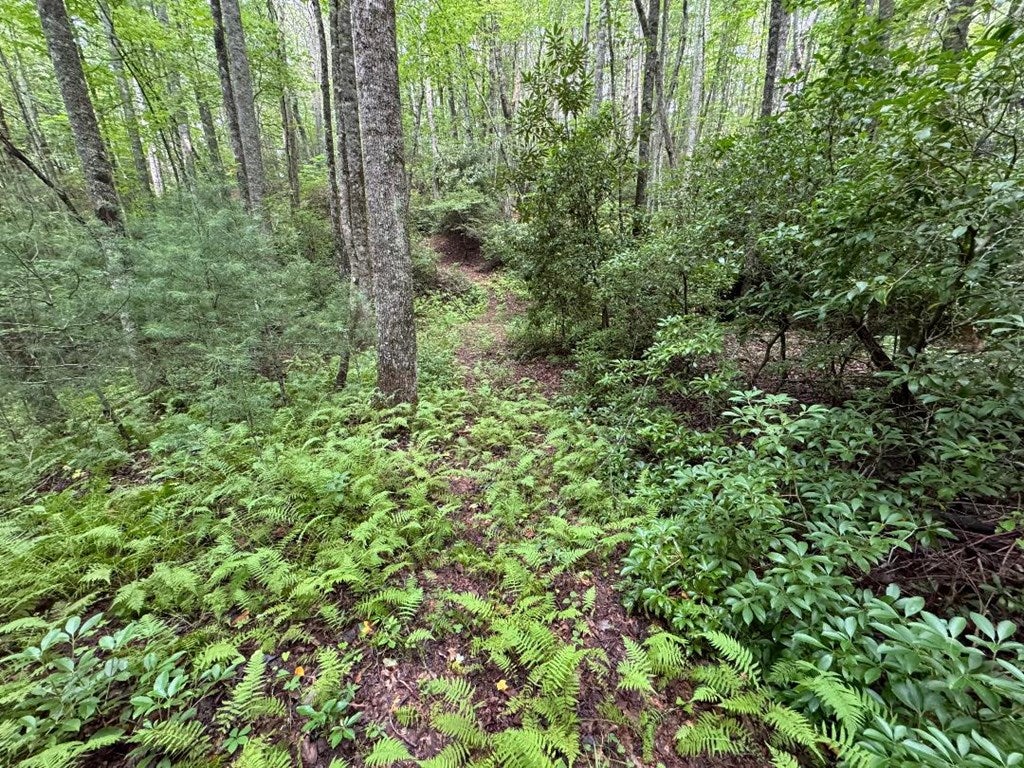 810 Loggy Ridge Road Hillsville, VA 24343 - Photo 28 of 41 Gallery Image 28
