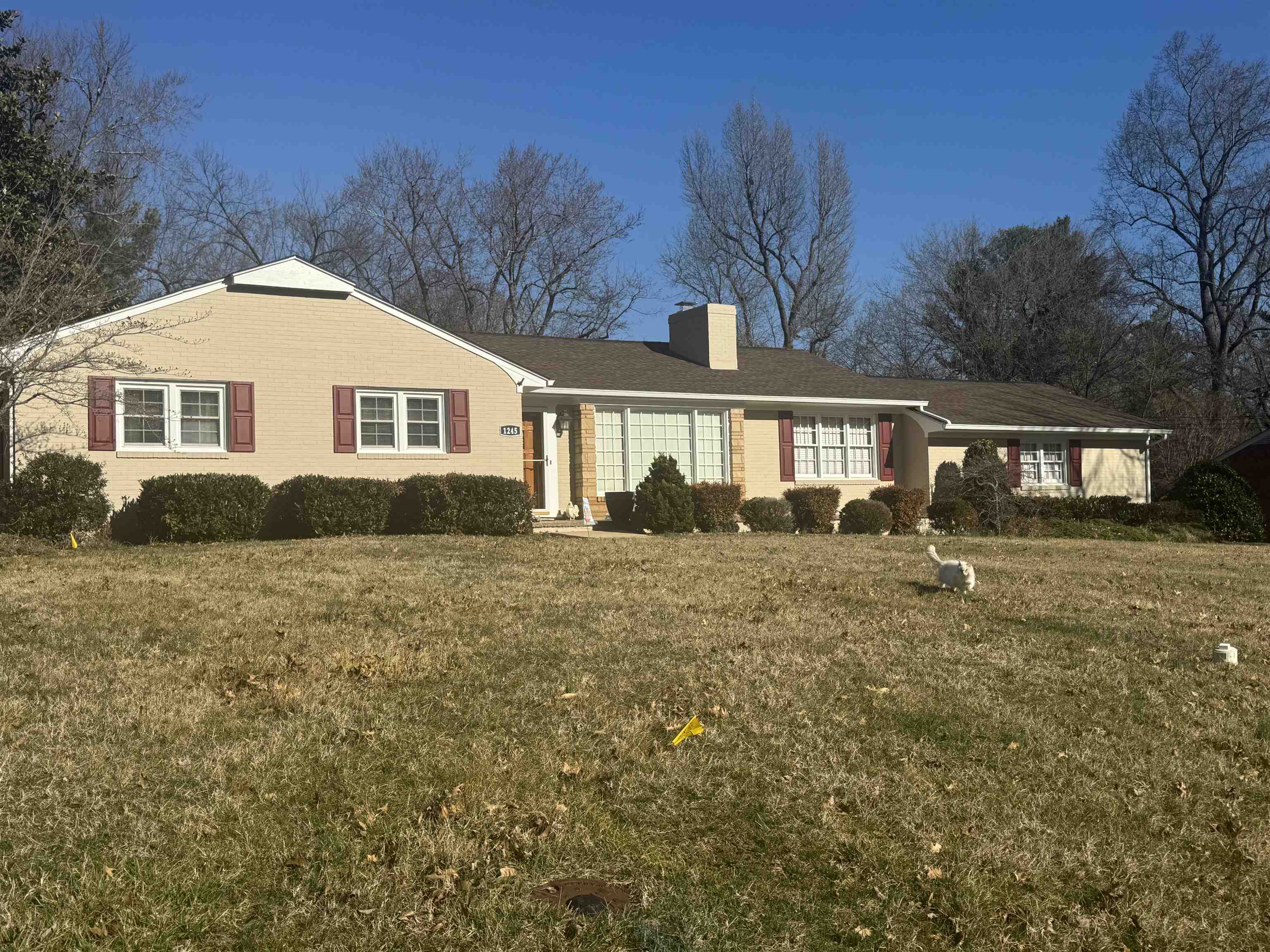 1245 Hollins Road Waynesboro, VA 22980 - Photo 1 of 1 a front view of a house with a yard and trees