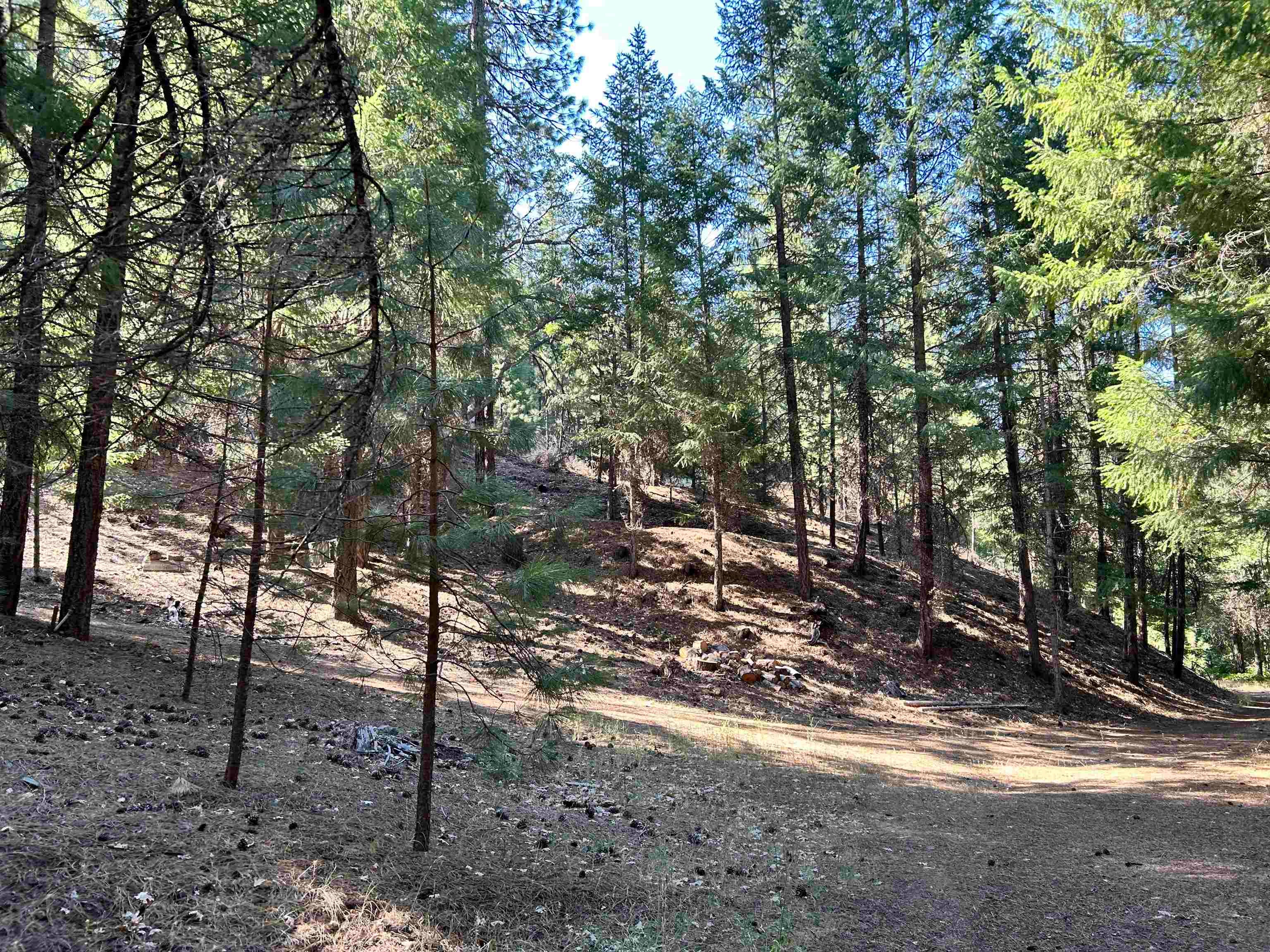 15.9-acres Tyler Gulch Road Fort Jones, CA 96032 - Photo 7 of 18 Gallery Image 7