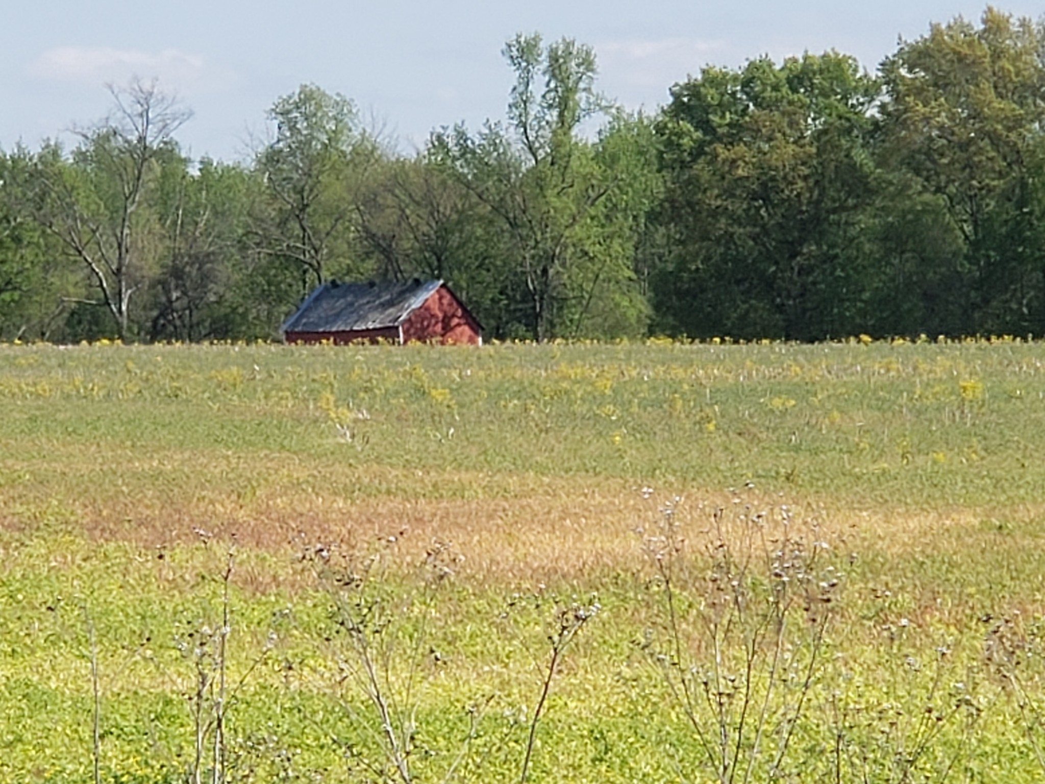 0 North Pitt Road North Springfield, TN 37172 - Photo 4 of 17 a view of beach and swimming pool