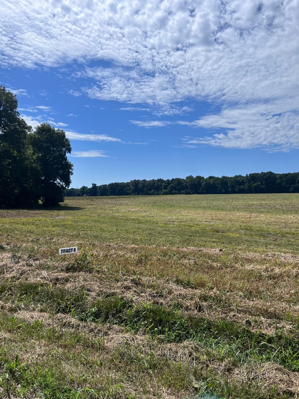 0 North Pitt Road North Springfield, TN 37172 - Photo 9 of 17 a view of an ocean and sunset