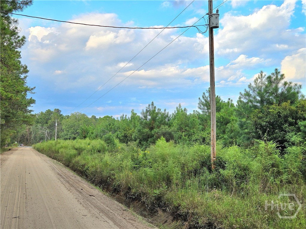 0 G W Oliver Road Statesboro, GA 30458 - Photo 6 of 13