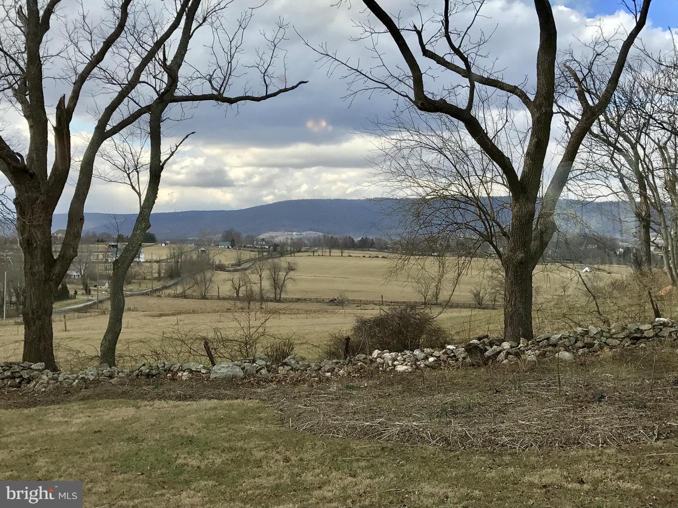 BLUE RIDGE VIEWS