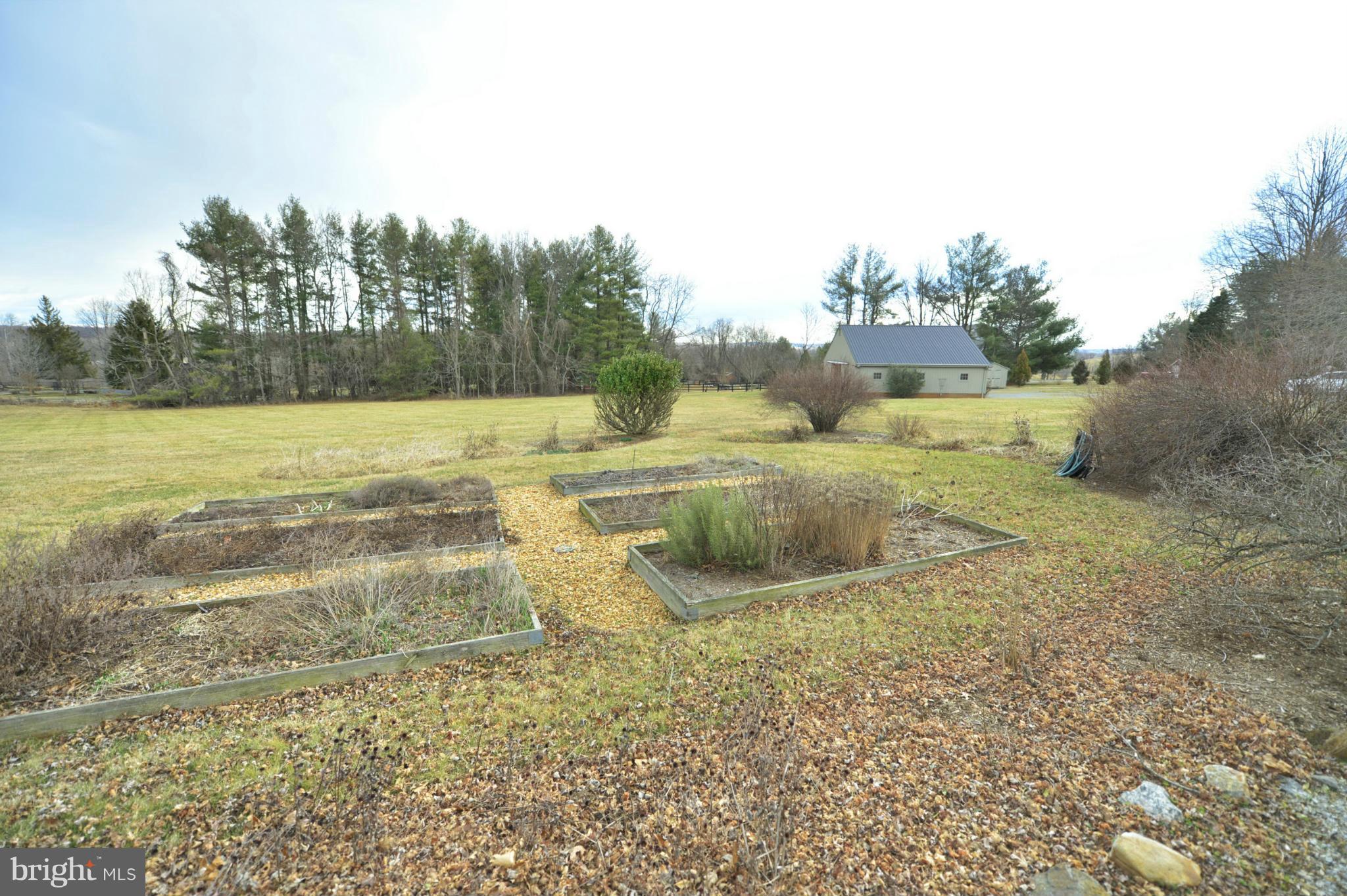 19075 Ebenezer Church Road Round Hill, VA 20141 - Photo 28 of 30 VIEW FROM FRONT DOOR