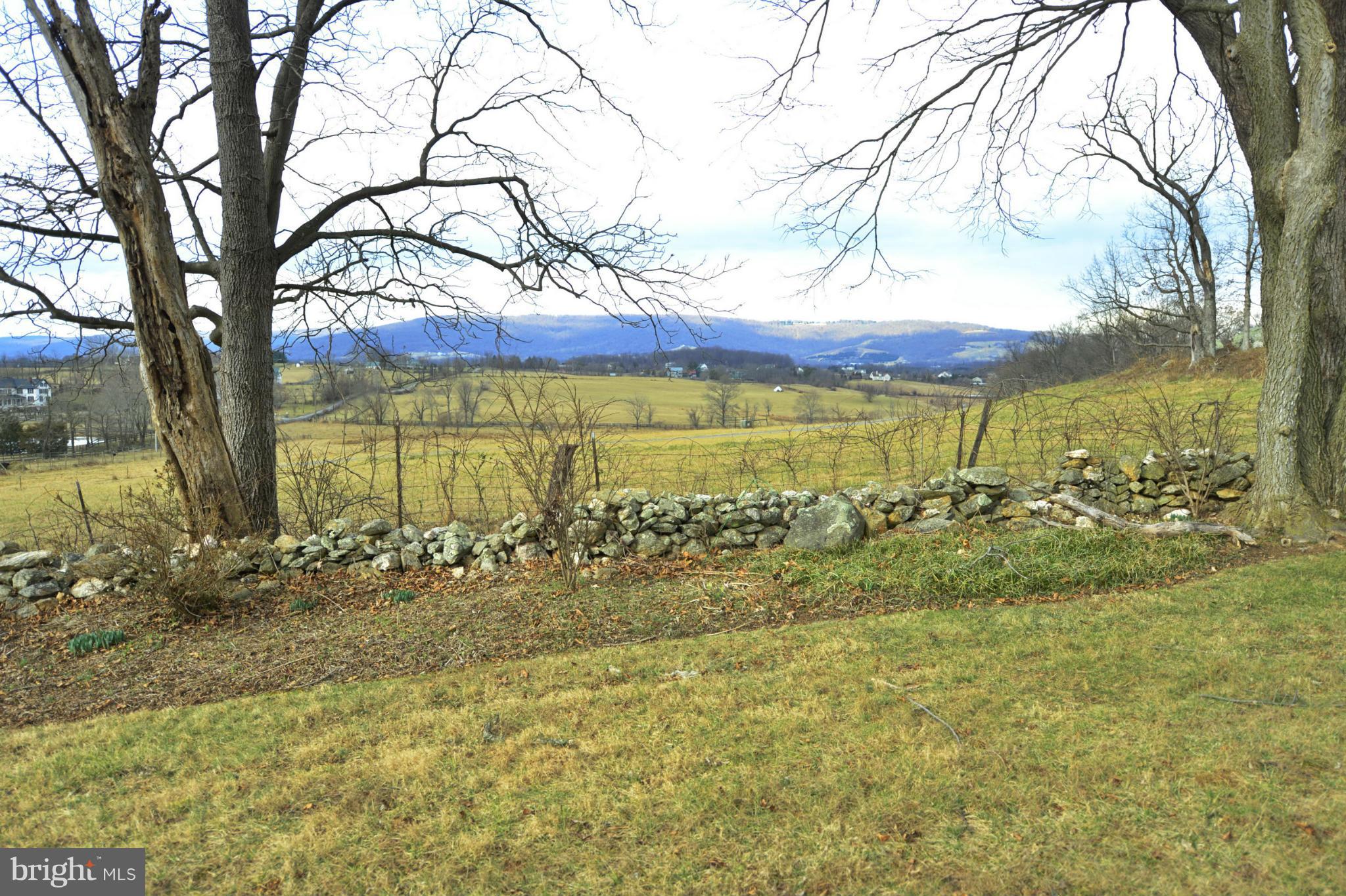 19075 Ebenezer Church Road Round Hill, VA 20141 - Photo 29 of 30 AND THIS PRETTY ON A CLOUDY DAY...