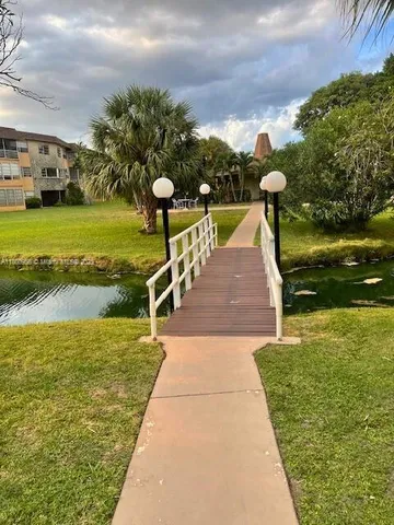 a park with lots of tall trees
