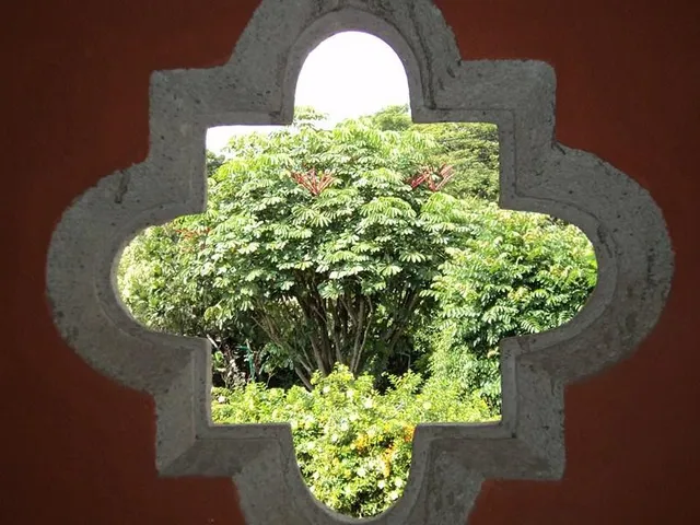 a close up of a fountain