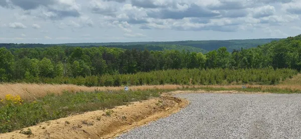$59,999 | 47 Pineview Road, Unit 47, Dunlap, TN 37327