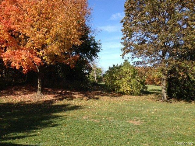 5153 Prairie View Brighton, MI 48116 - Photo 18 of 19 backyard