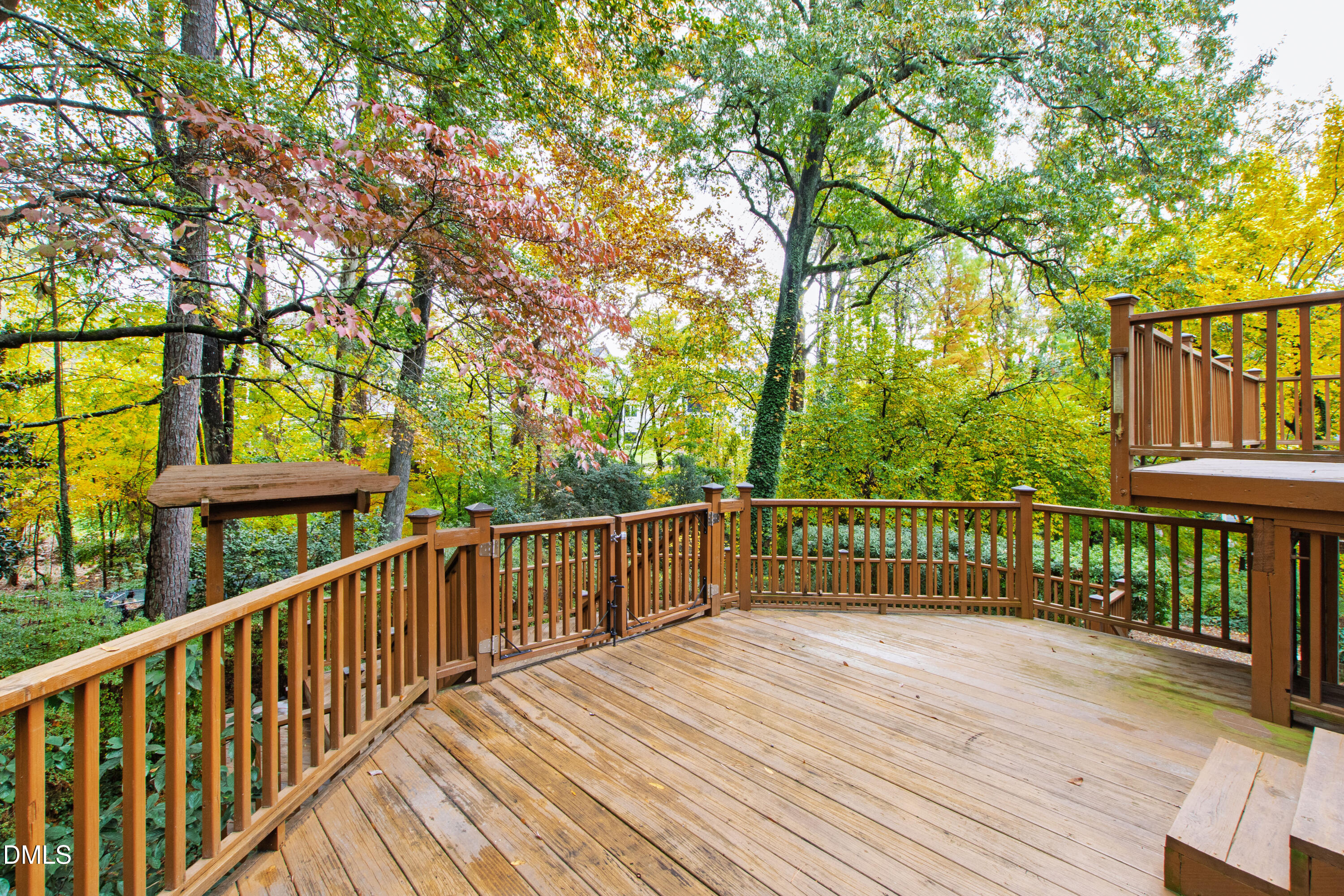 3324 Landor Road Raleigh, NC 27609 - Photo 60 of 69 Landor (64)