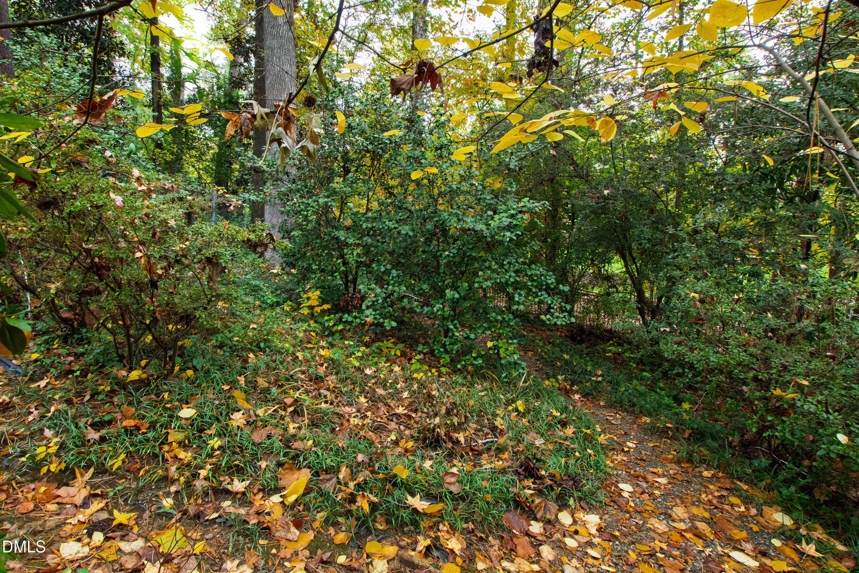 3324 Landor Road Raleigh, NC 27609 - Photo 68 of 69 a view of a tree