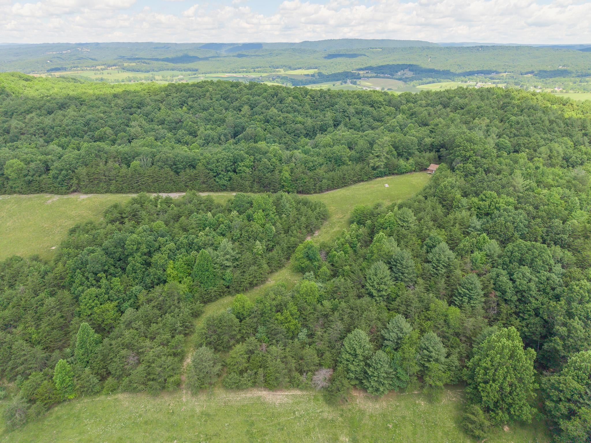 Tbd Locust Hill Road Max Meadows, VA 24360 - Photo 7 of 15 Gallery Image 7