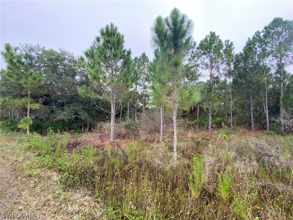 49767 Bermont Road Punta Gorda, FL 33982 - Photo 2 of 22 Gallery Image 2