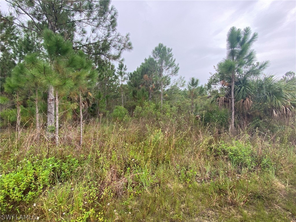 49767 Bermont Road Punta Gorda, FL 33982 - Photo 3 of 22 Gallery Image 3