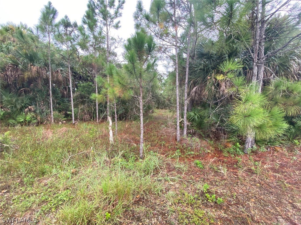 49767 Bermont Road Punta Gorda, FL 33982 - Photo 10 of 22 Gallery Image 10
