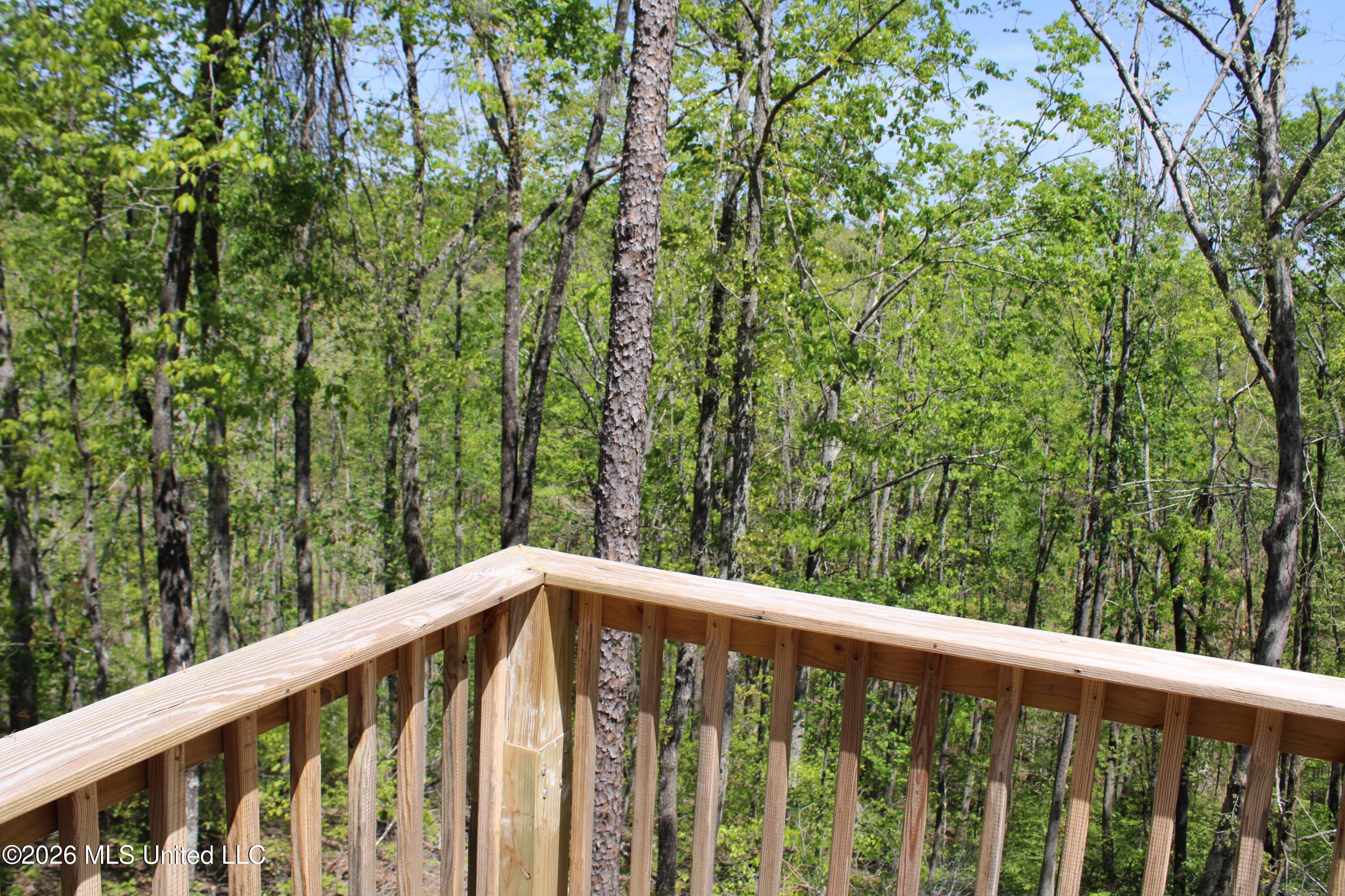 13 Brett Bluff Iuka, MS 38852 - Photo 22 of 30 View