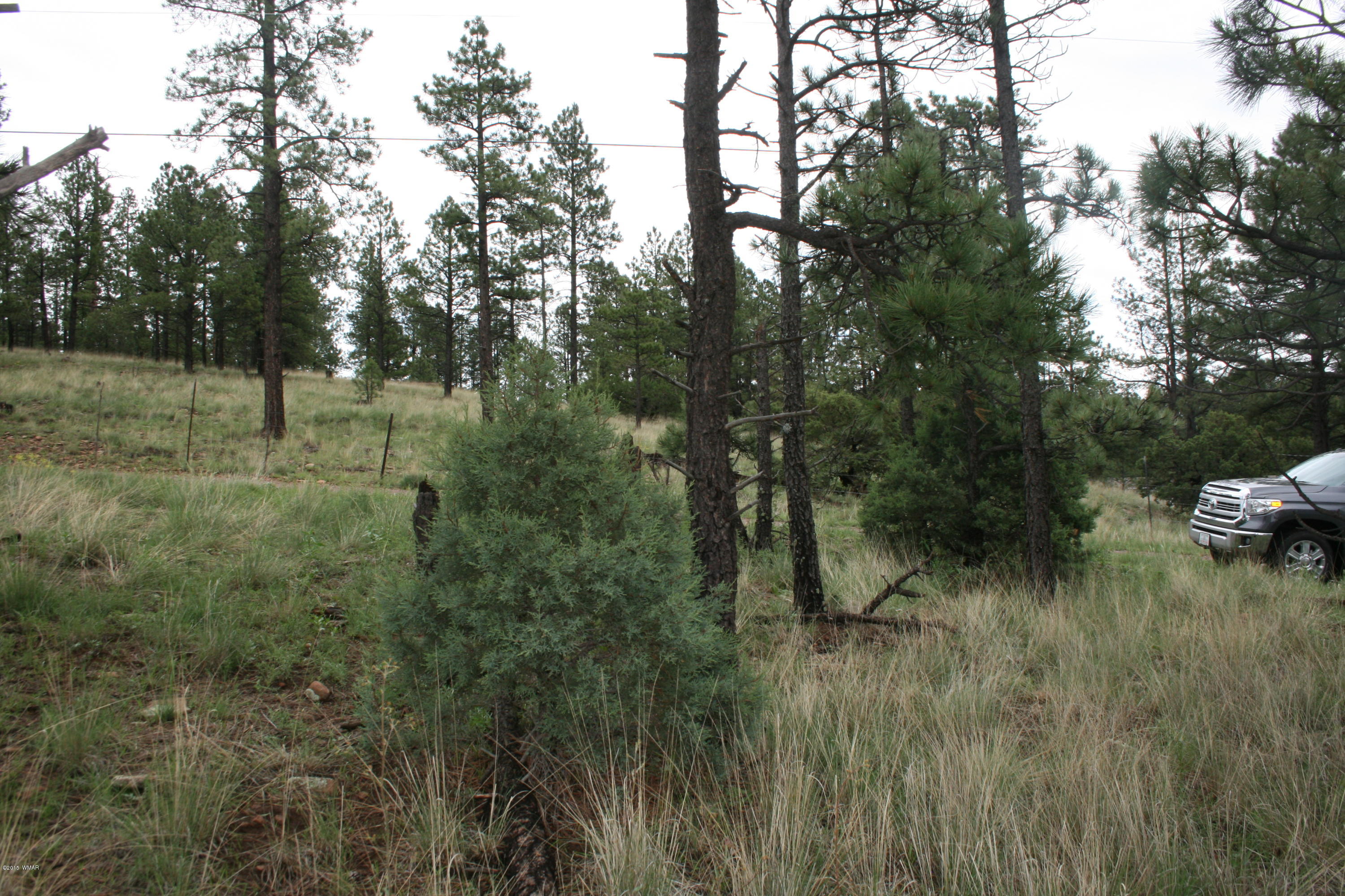 12 F L Z Ranch Road Alpine, AZ 85920 - Photo 11 of 22