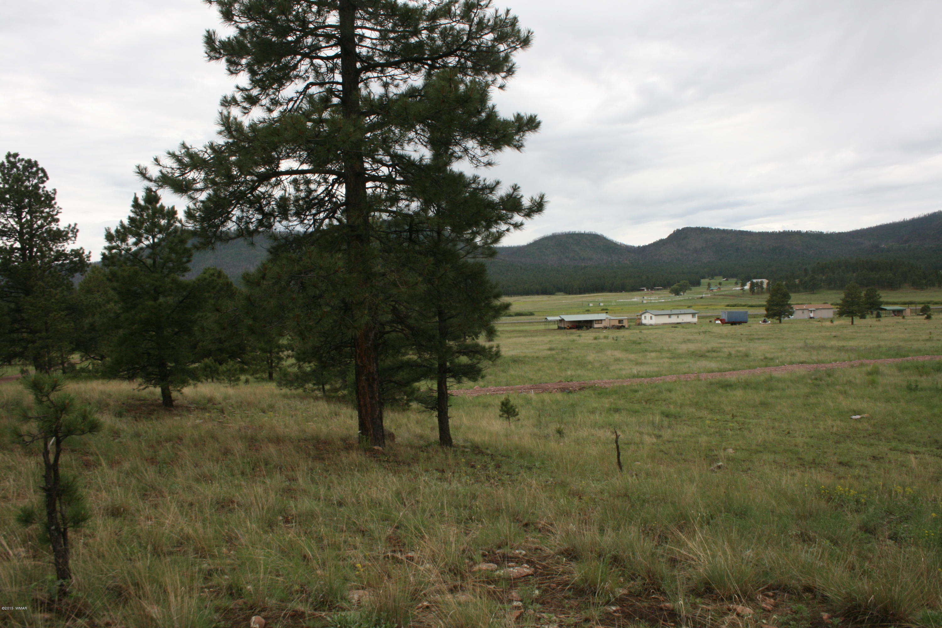 12 F L Z Ranch Road Alpine, AZ 85920 - Photo 13 of 22