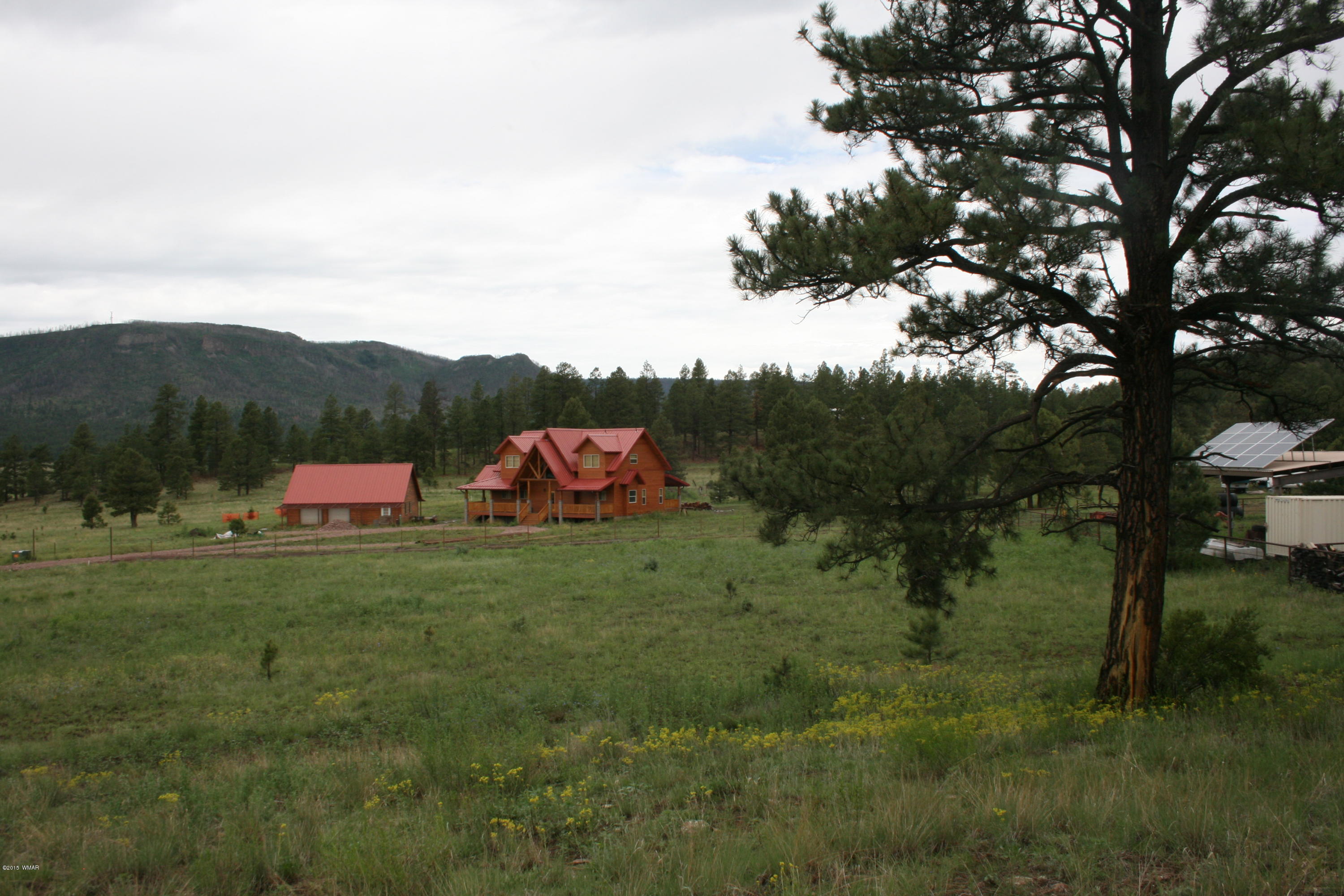 12 F L Z Ranch Road Alpine, AZ 85920 - Photo 14 of 22
