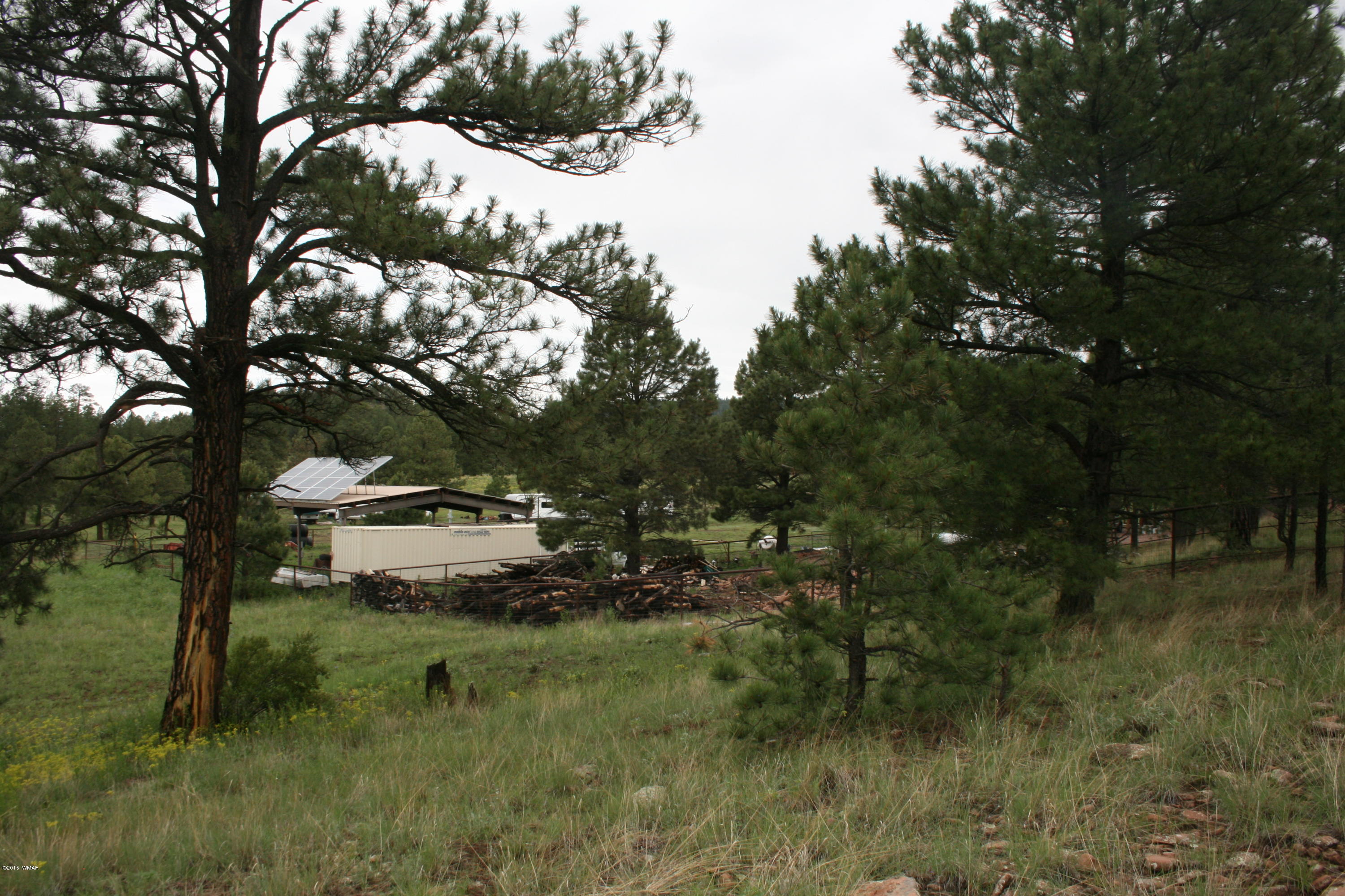 12 F L Z Ranch Road Alpine, AZ 85920 - Photo 15 of 22