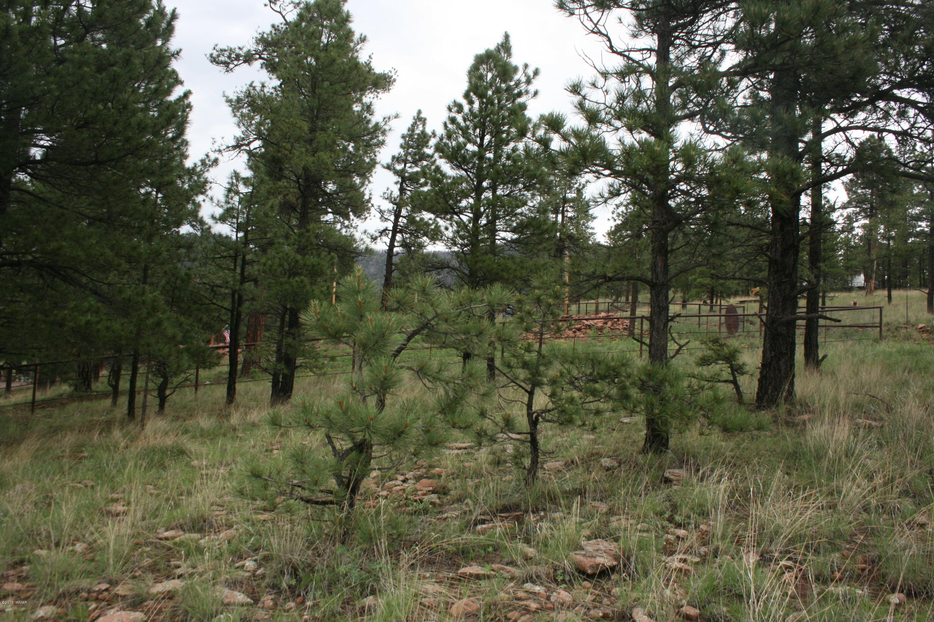12 F L Z Ranch Road Alpine, AZ 85920 - Photo 16 of 22