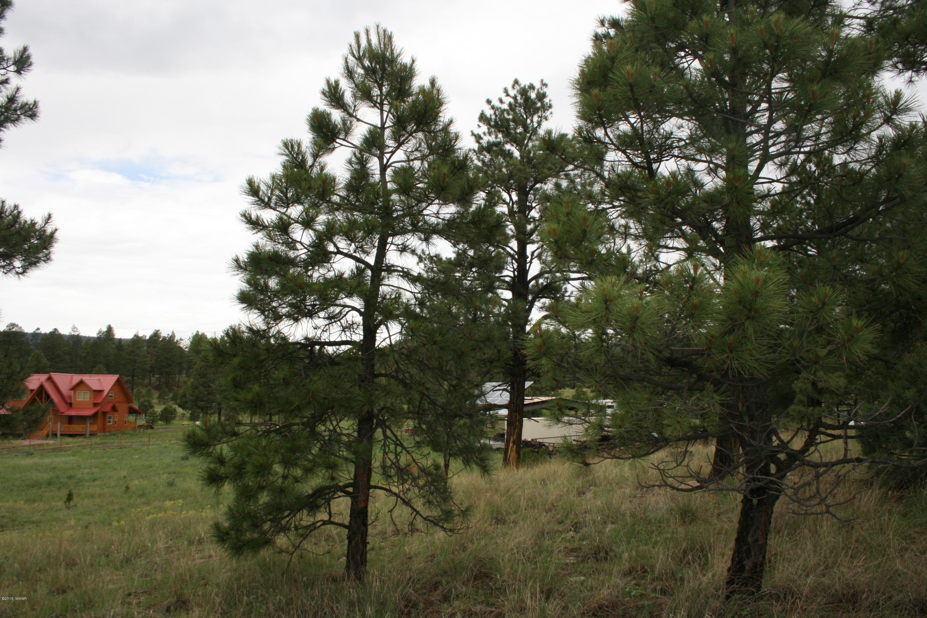 12 F L Z Ranch Road Alpine, AZ 85920 - Photo 17 of 22