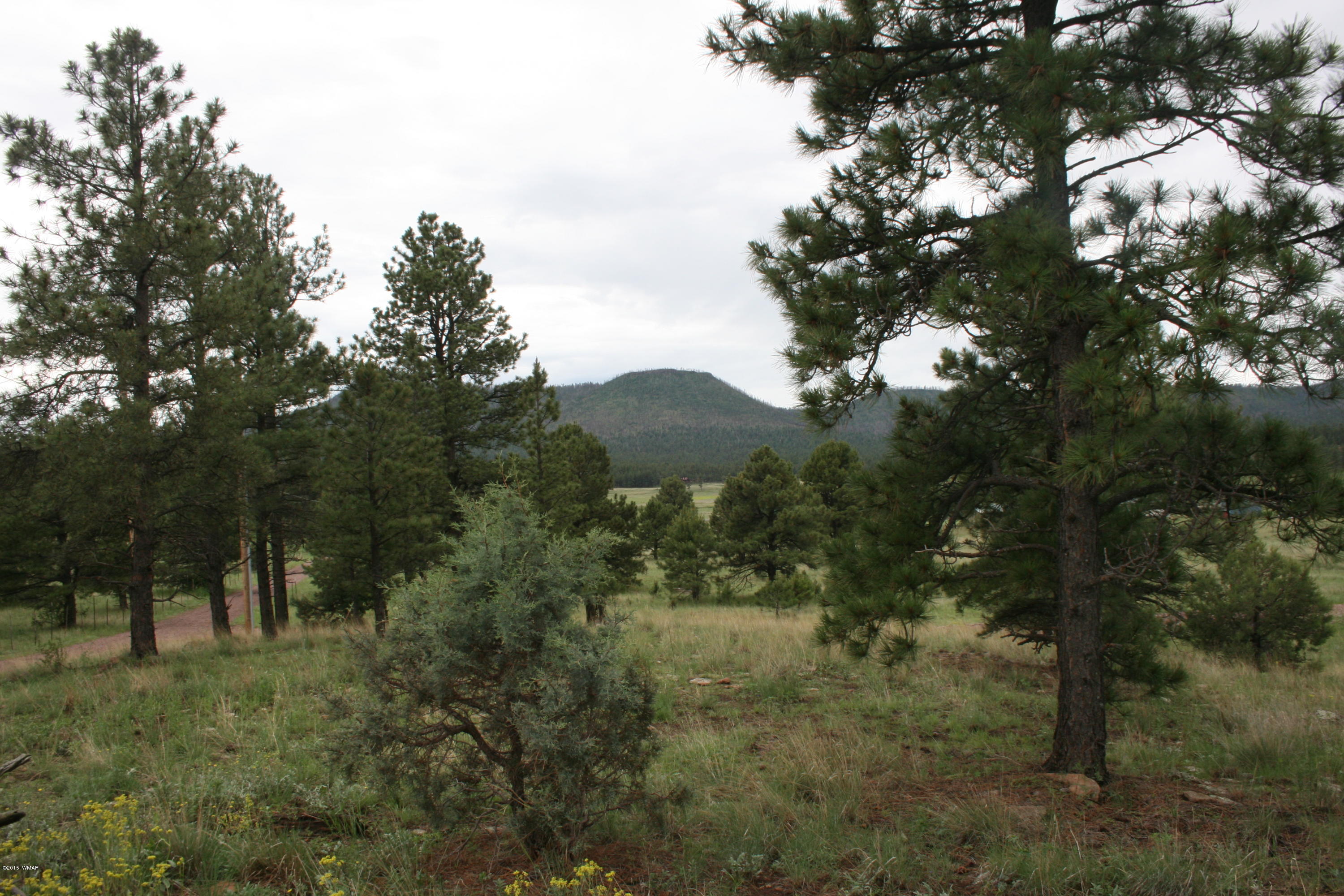 12 F L Z Ranch Road Alpine, AZ 85920 - Photo 18 of 22