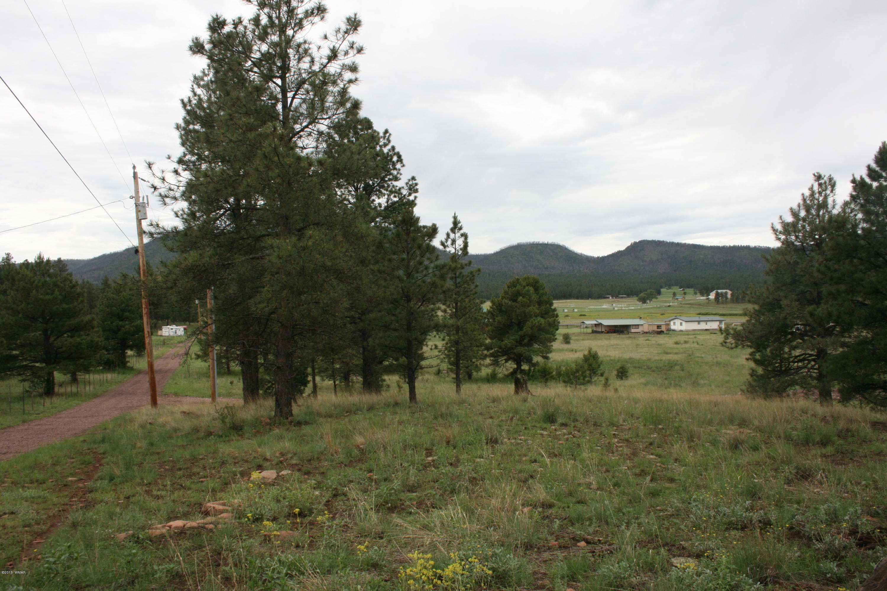 12 F L Z Ranch Road Alpine, AZ 85920 - Photo 19 of 22