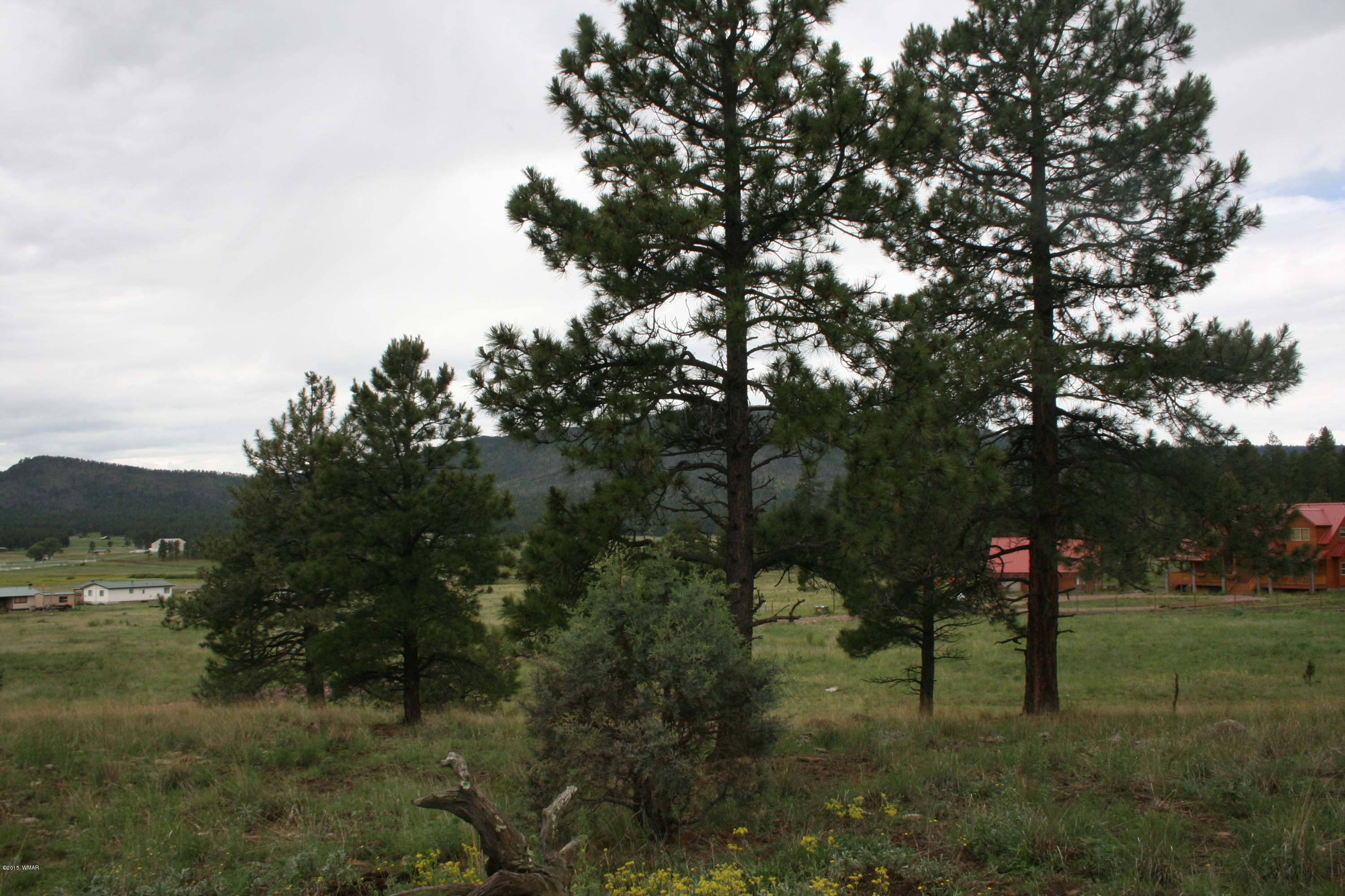 12 F L Z Ranch Road Alpine, AZ 85920 - Photo 20 of 22