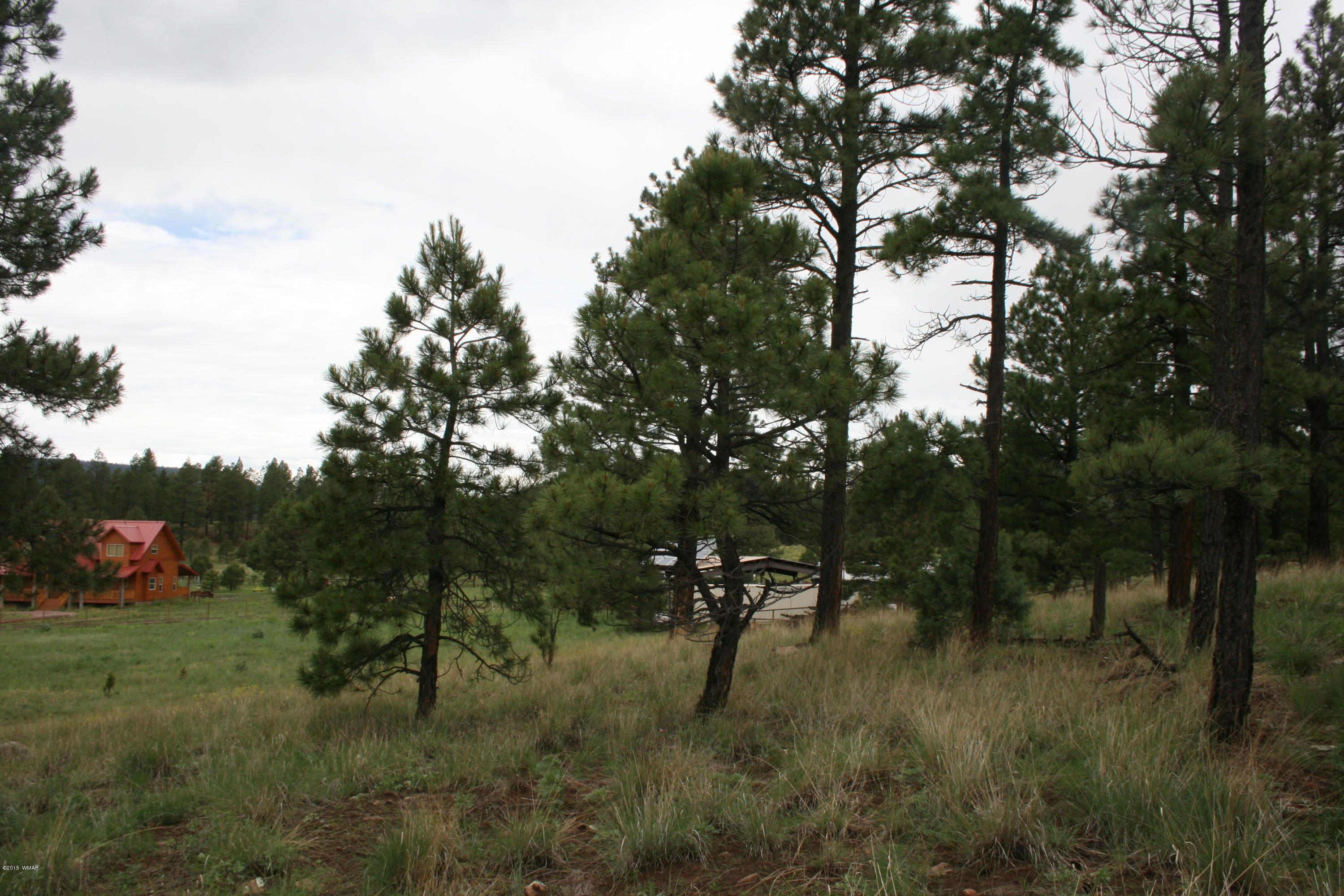 12 F L Z Ranch Road Alpine, AZ 85920 - Photo 21 of 22