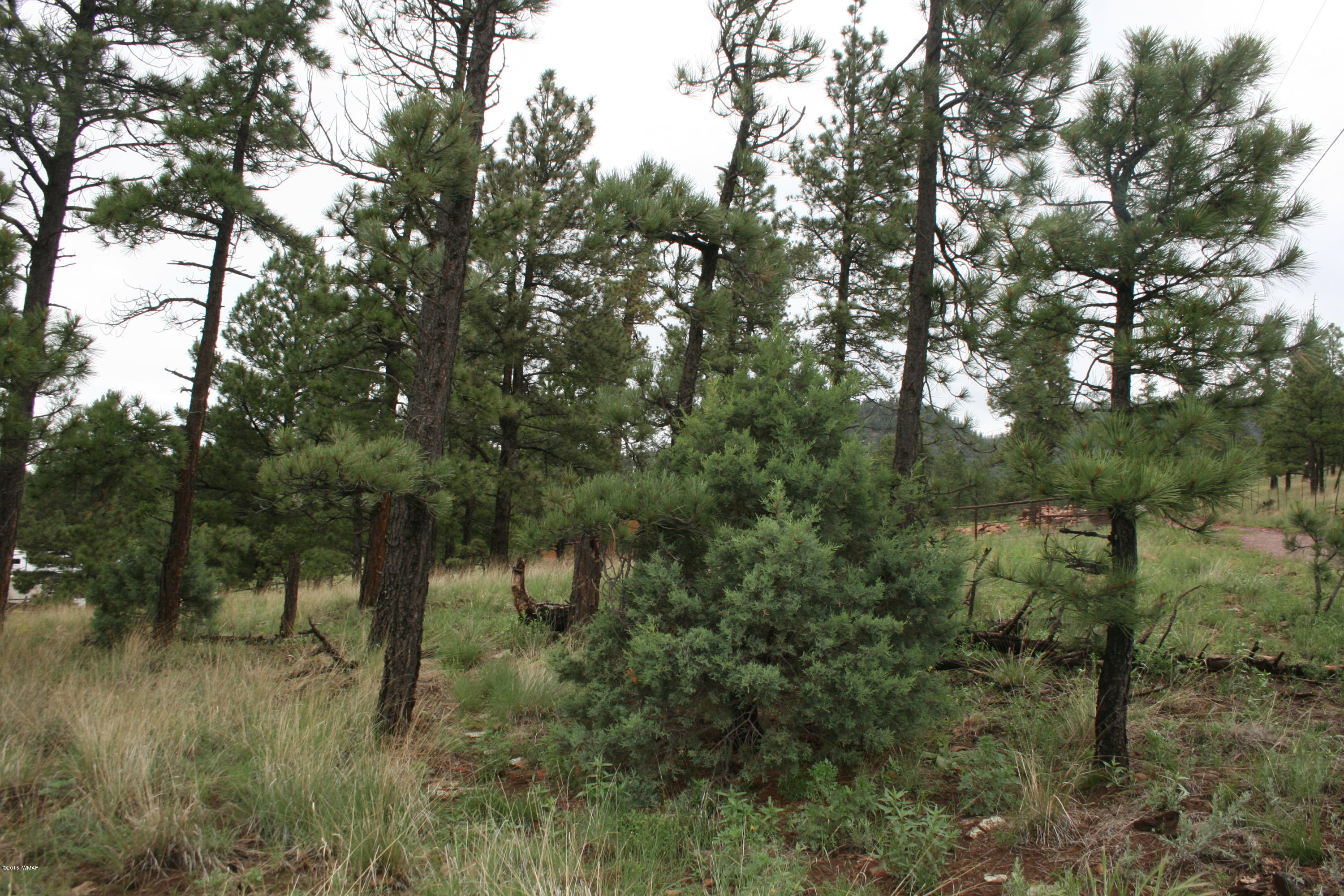 12 F L Z Ranch Road Alpine, AZ 85920 - Photo 22 of 22