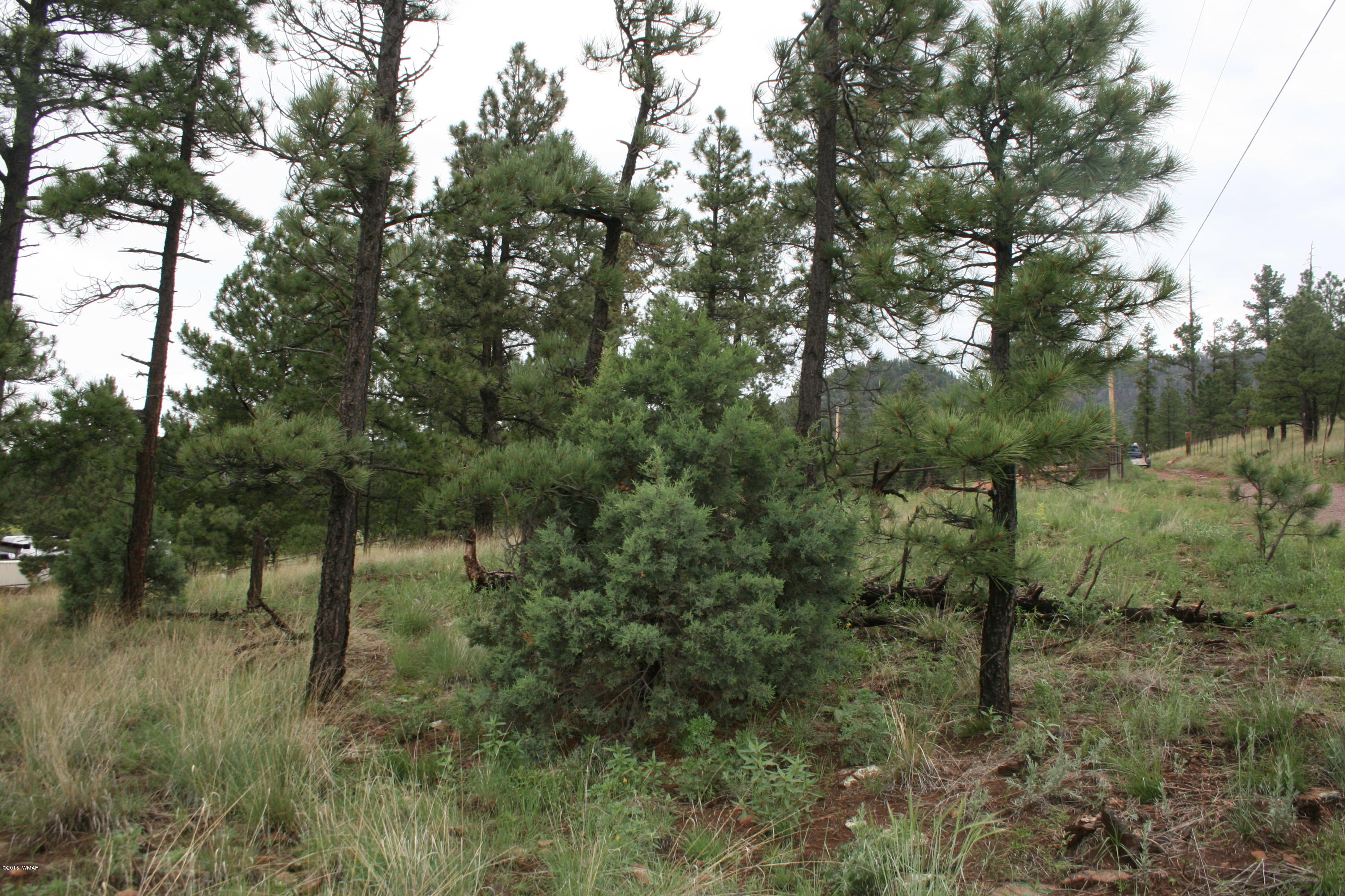 12 F L Z Ranch Road Alpine, AZ 85920 - Photo 3 of 22
