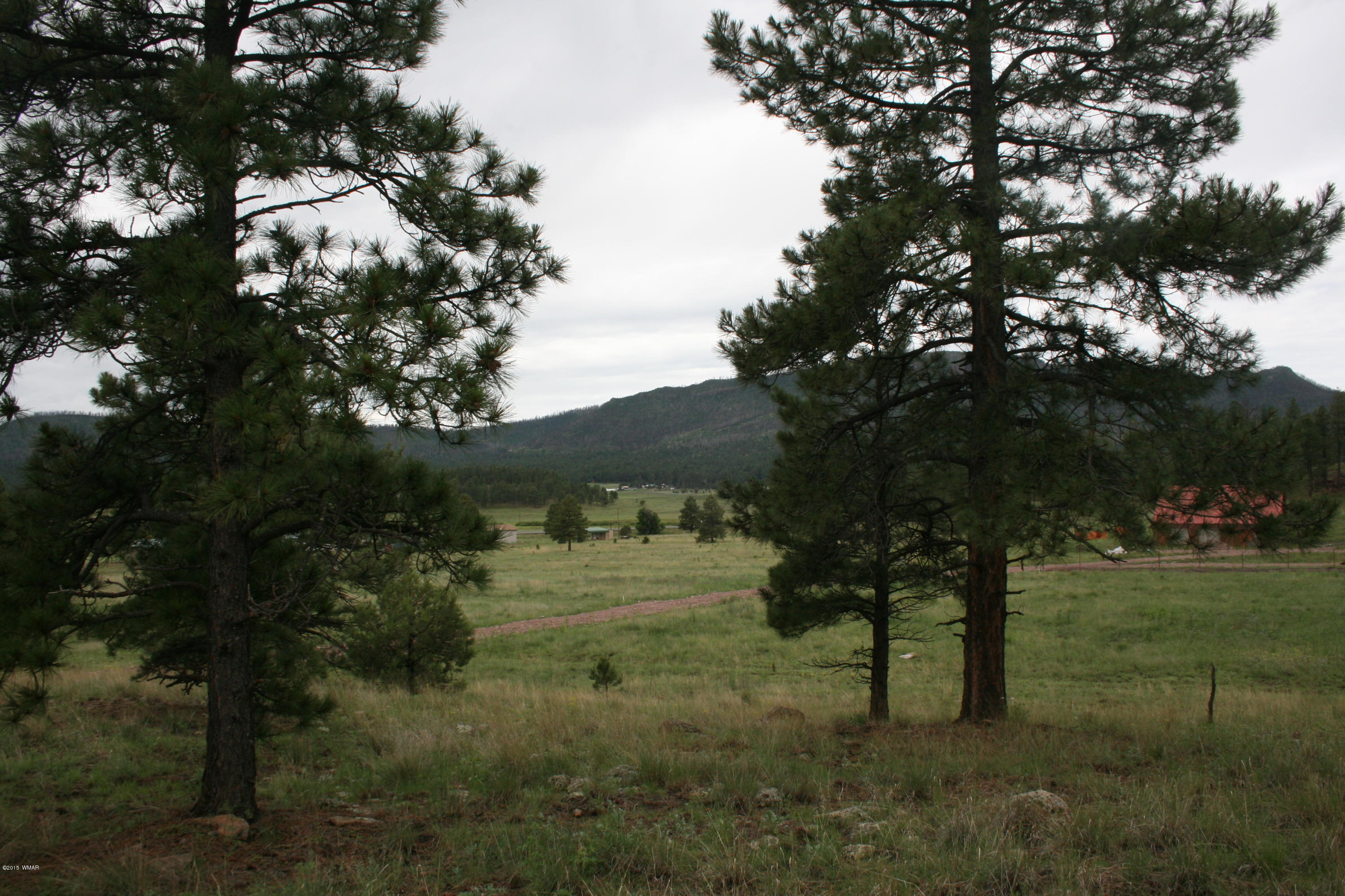 12 F L Z Ranch Road Alpine, AZ 85920 - Photo 5 of 22