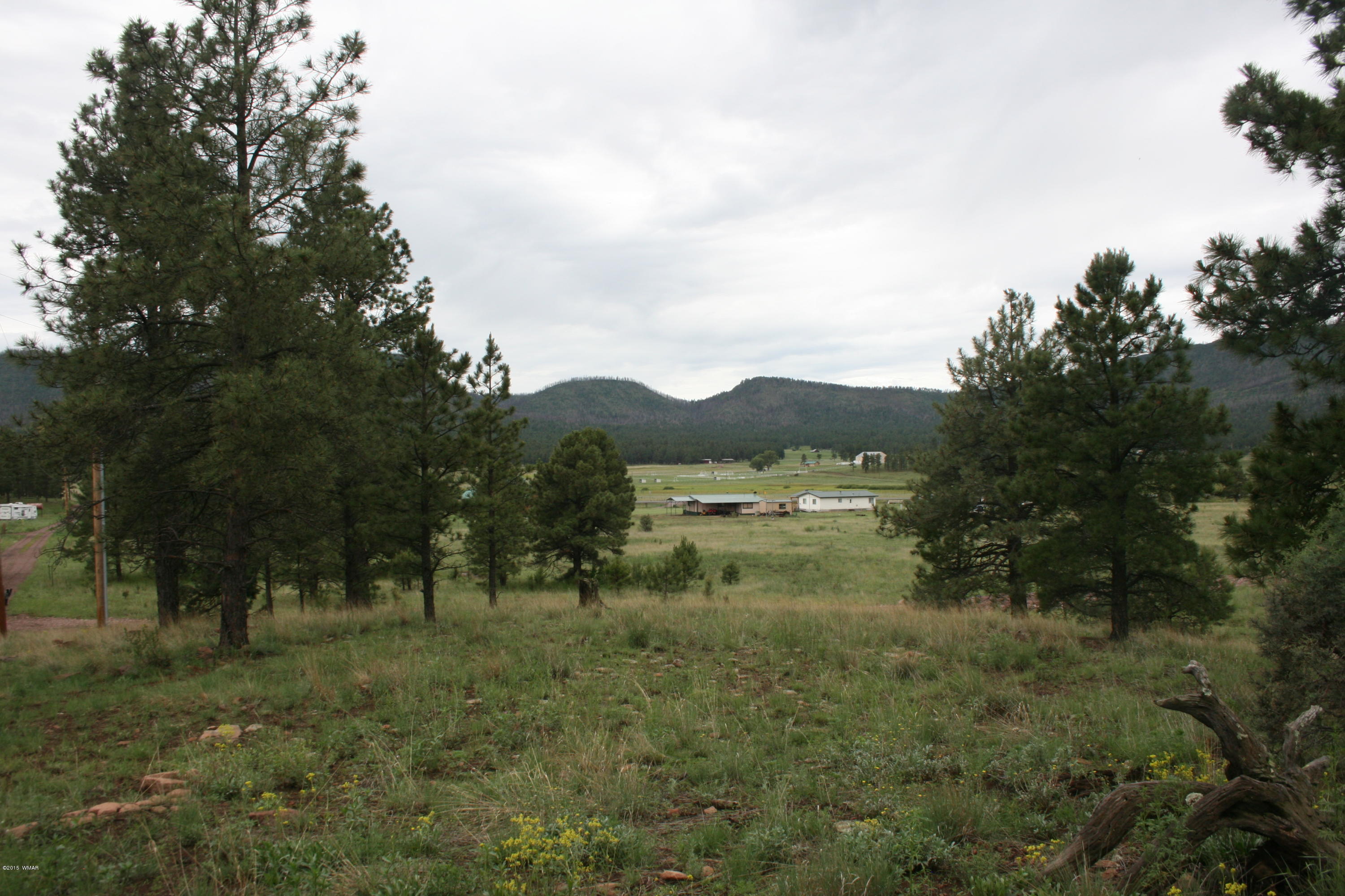 12 F L Z Ranch Road Alpine, AZ 85920 - Photo 6 of 22