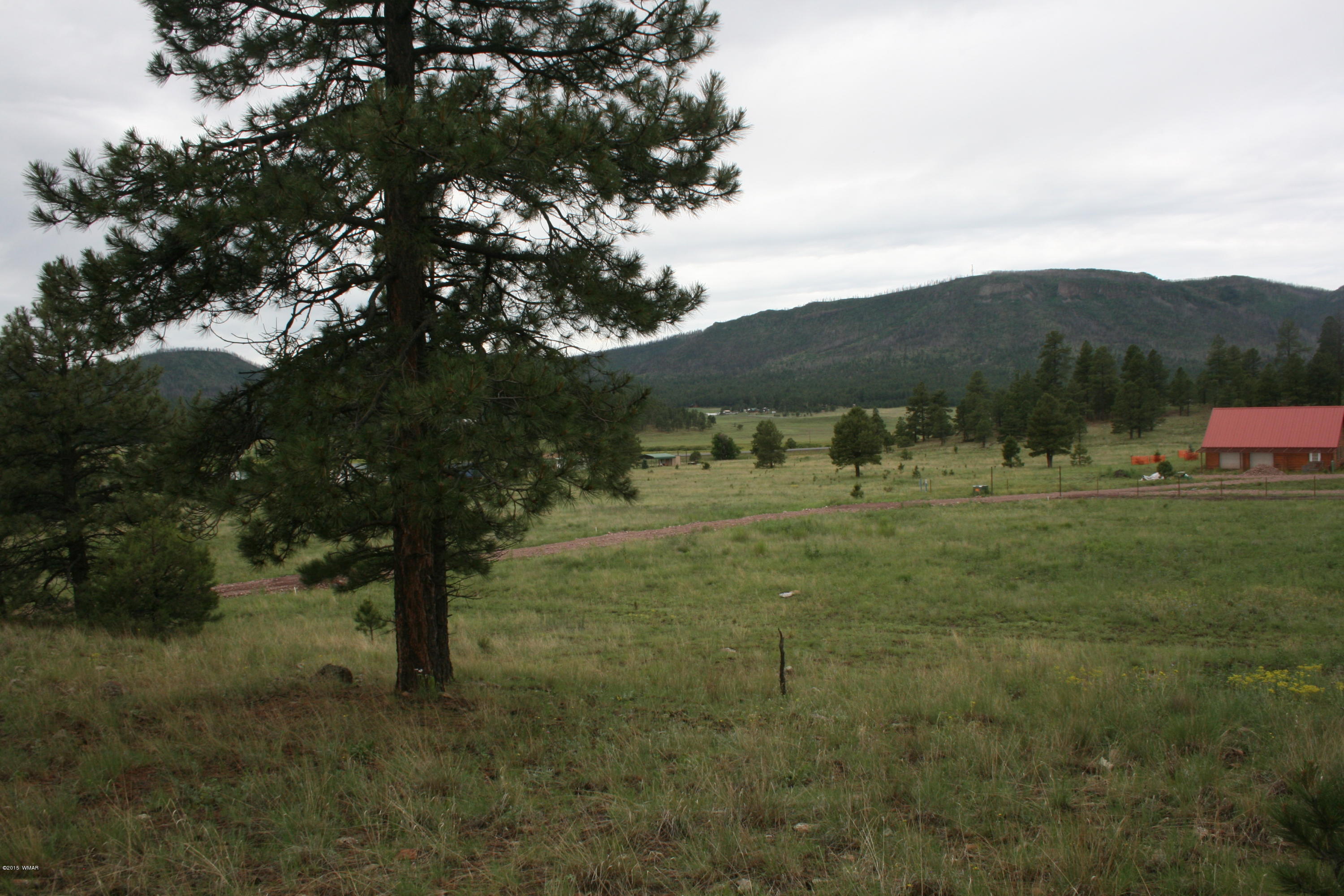 12 F L Z Ranch Road Alpine, AZ 85920 - Photo 7 of 22