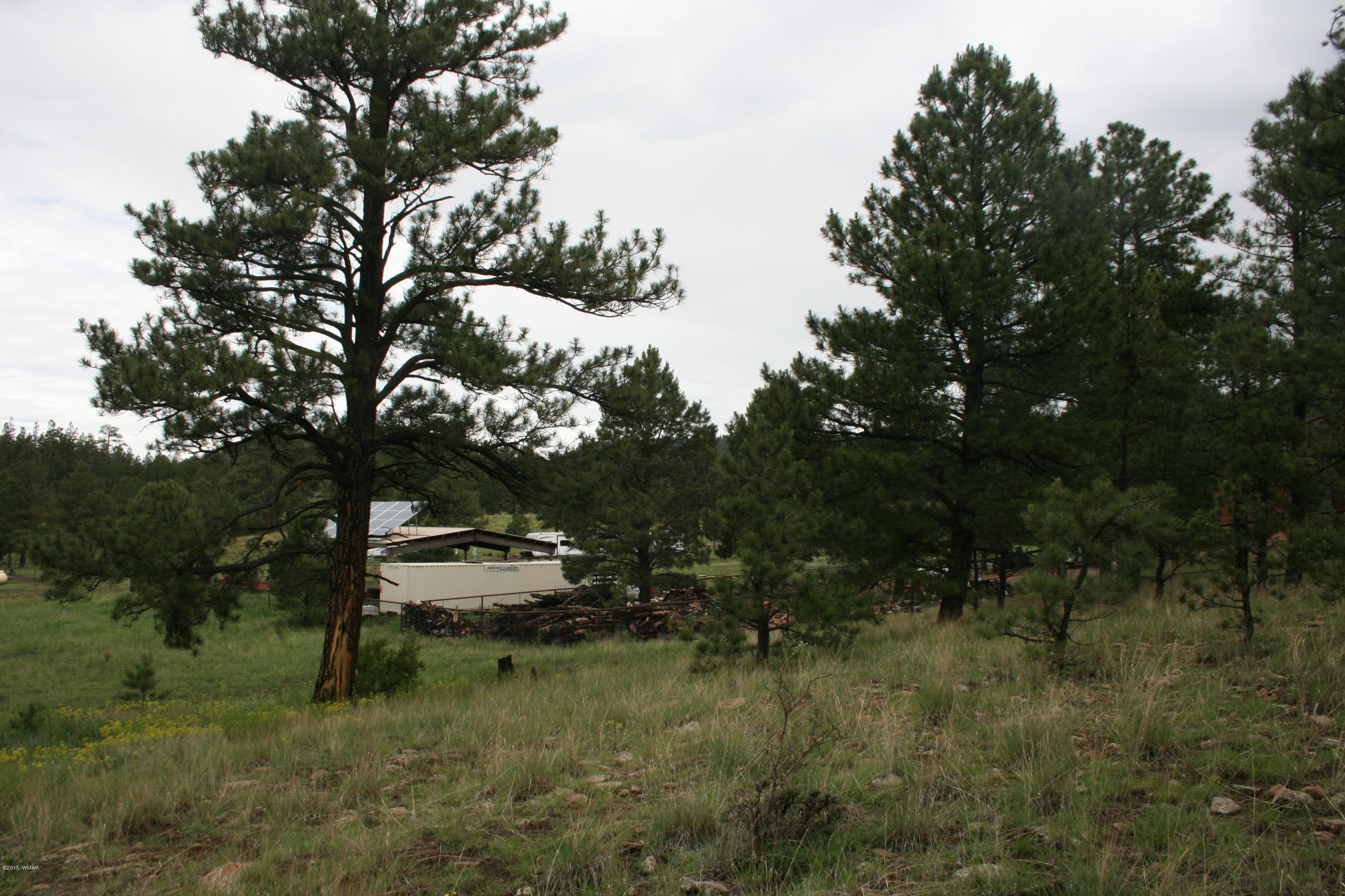 12 F L Z Ranch Road Alpine, AZ 85920 - Photo 8 of 22